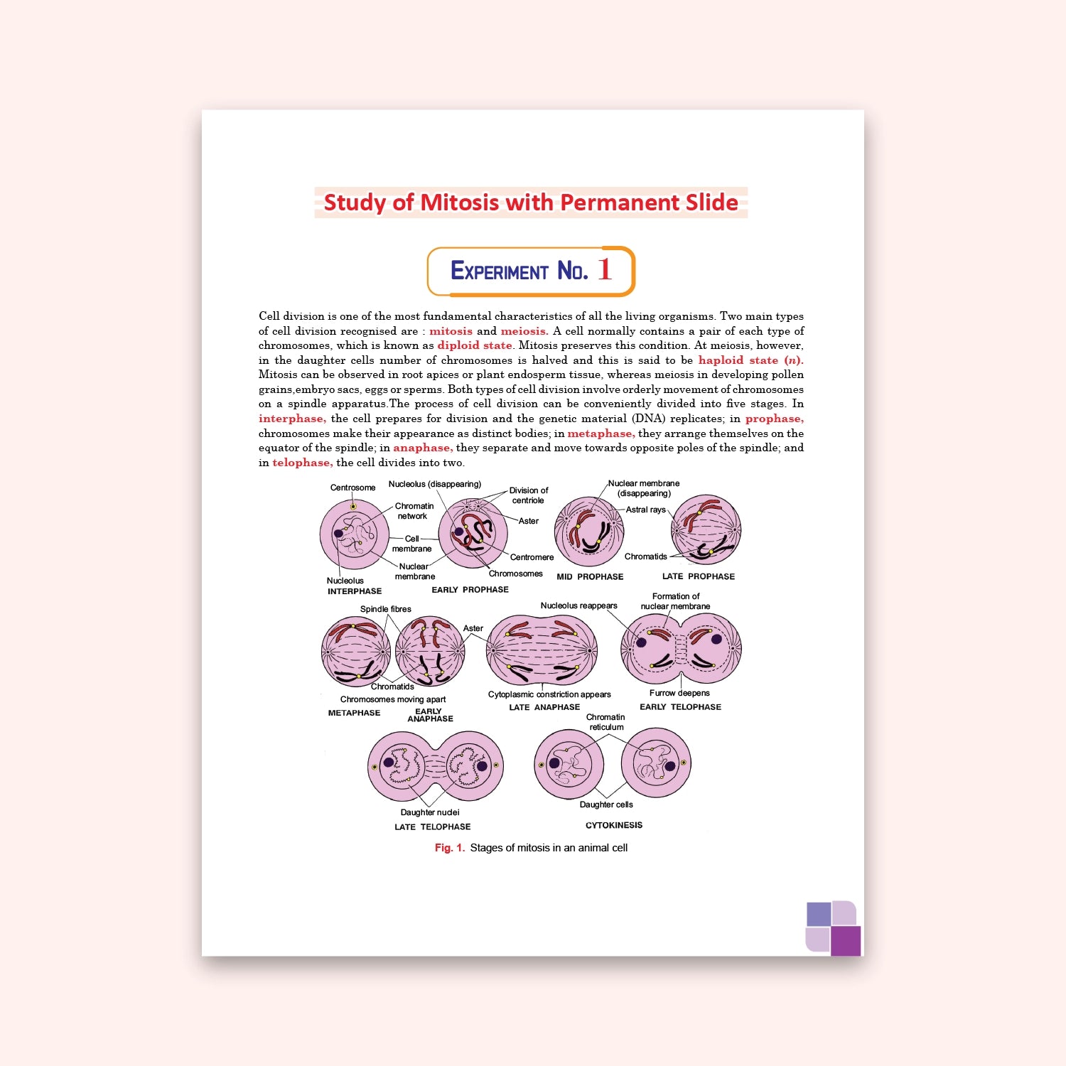 Nootan ICSE Board Biology Lab Manual Book For Class 10th - Academic Year 2026-27 By Dr. D.K. Jain - Nageen Prakashan