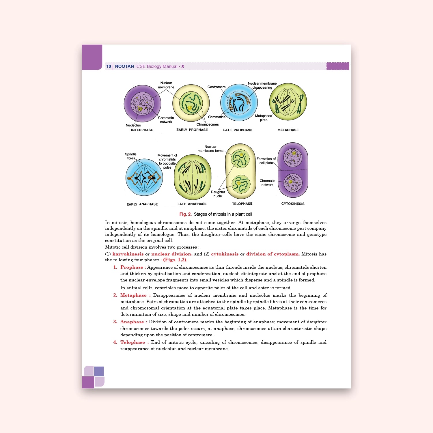 Nootan ICSE Board Biology Lab Manual Book For Class 10th - Academic Year 2026-27 By Dr. D.K. Jain - Nageen Prakashan