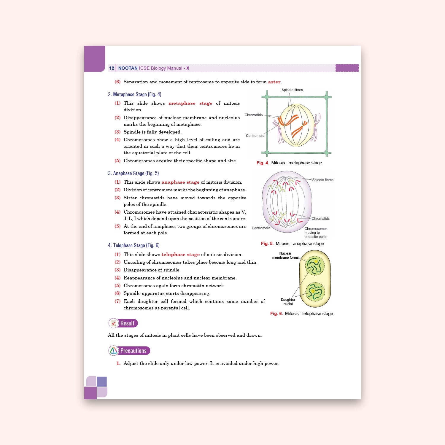 Nootan ICSE Board Biology Lab Manual Book For Class 10th - Academic Year 2026-27 By Dr. D.K. Jain - Nageen Prakashan