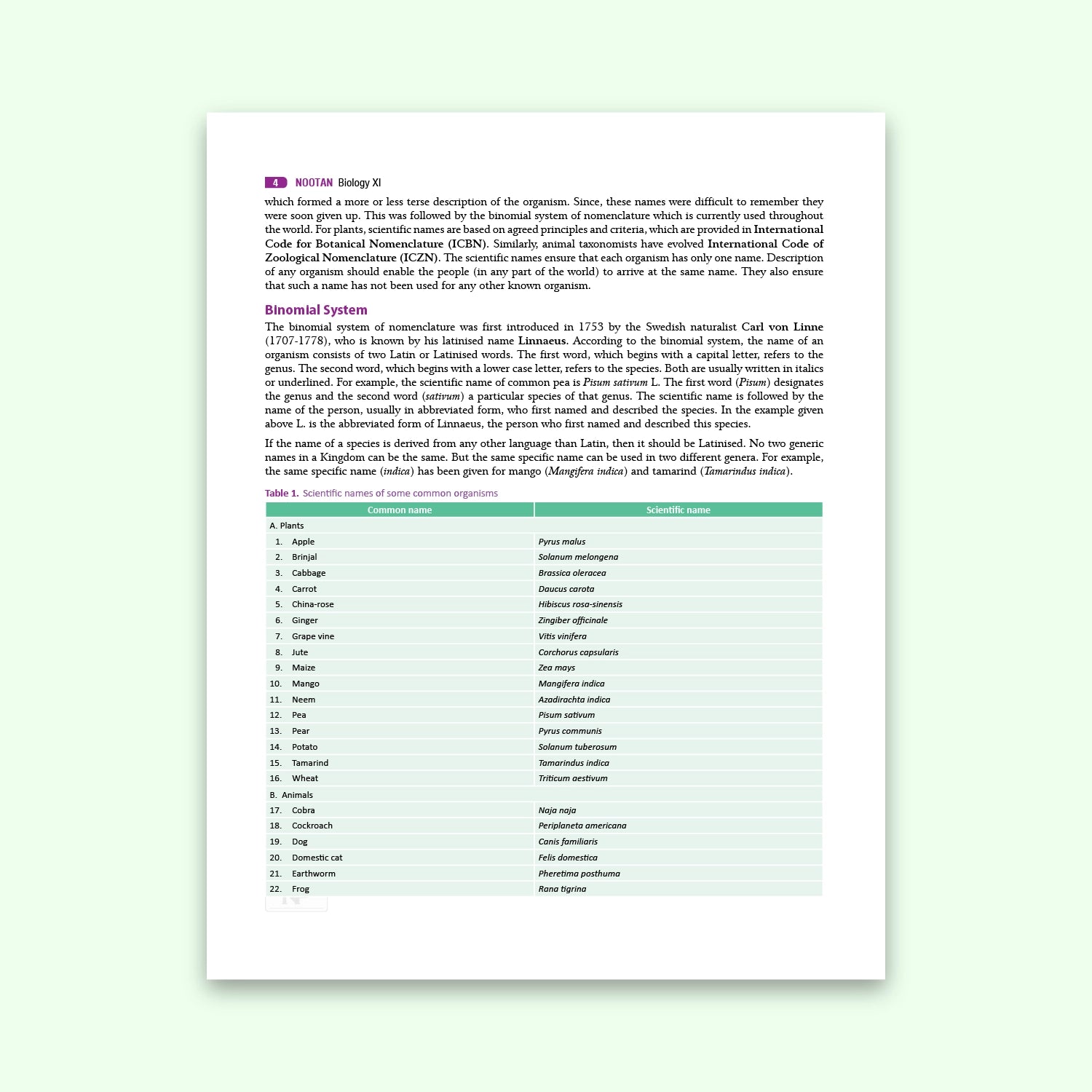 Nootan CBSE Board Biology Text Book For Class 11th in English - Academic Year 2026-27 Written By Dr. D.K. Jain - Nageen Prakashan