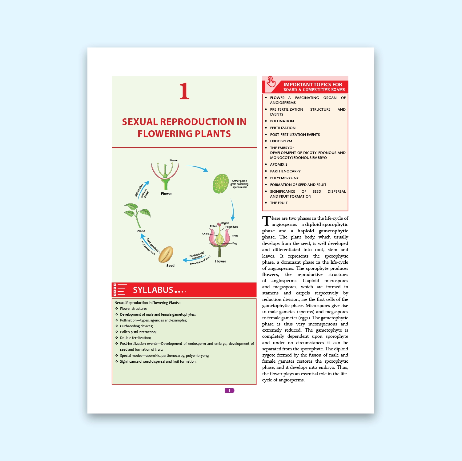 Nootan CBSE Board Biology Text Book For Class 12th - Academic Year 2026-27 By Dr. D.K. Jain - Nageen Prakashan