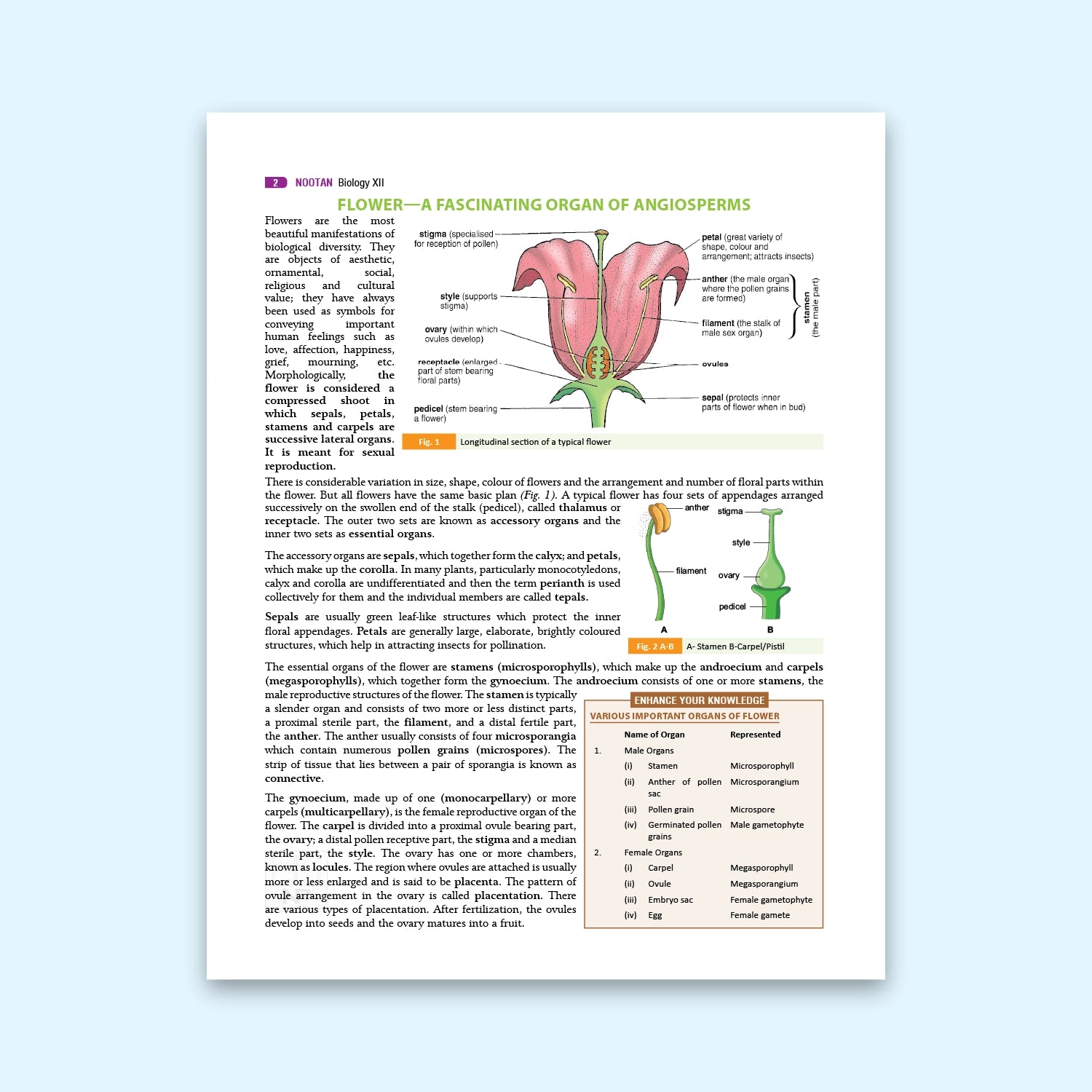 Nootan CBSE Board Biology Text Book For Class 12th - Academic Year 2026-27 By Dr. D.K. Jain - Nageen Prakashan
