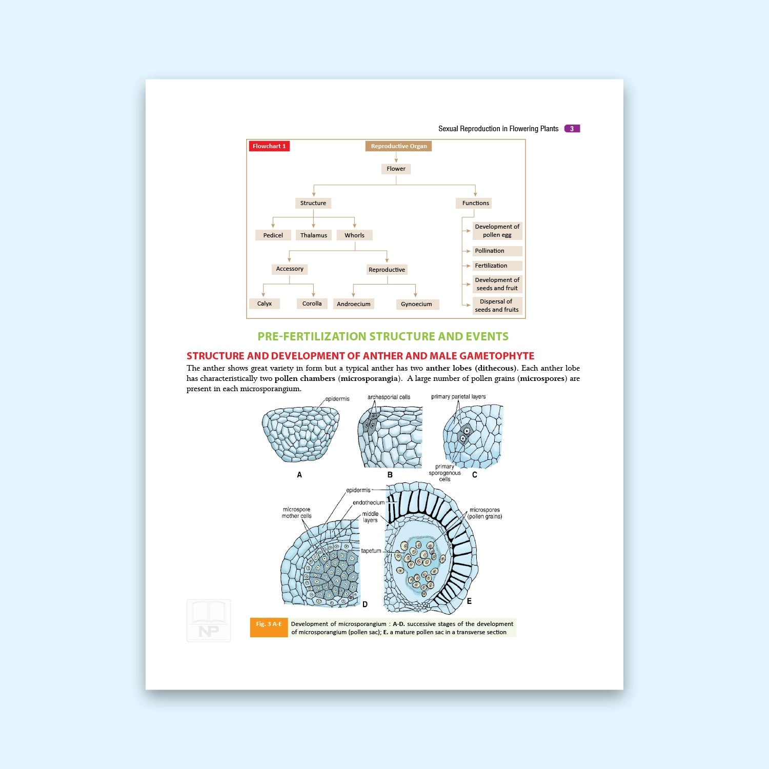 Nootan CBSE Board Biology Text Book For Class 12th - Academic Year 2026-27 By Dr. D.K. Jain - Nageen Prakashan
