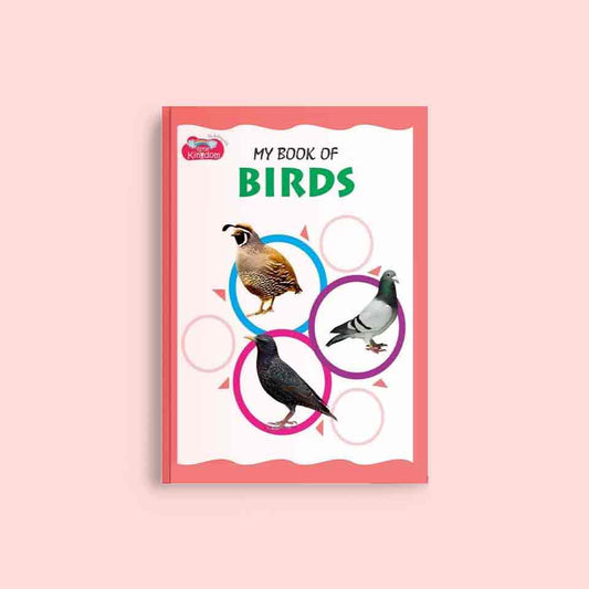 Picture Book- My Book of Birds - Nageen Prakashan