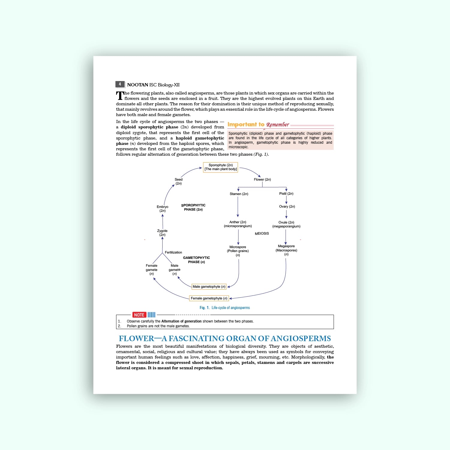 Nootan ISC Board Biology Textbook For Class 12th - Academic Year 2026-27 By V. Singh, D.K Jain, & Ajay Kumar Bhattacharya - Nageen Prakashan