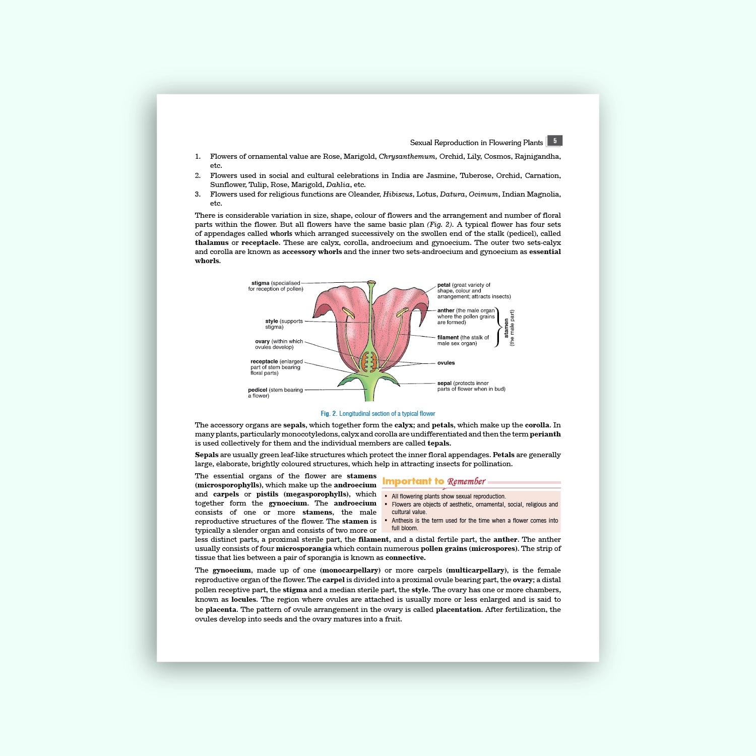Nootan ISC Board Biology Textbook For Class 12th - Academic Year 2026-27 By V. Singh, D.K Jain, & Ajay Kumar Bhattacharya - Nageen Prakashan