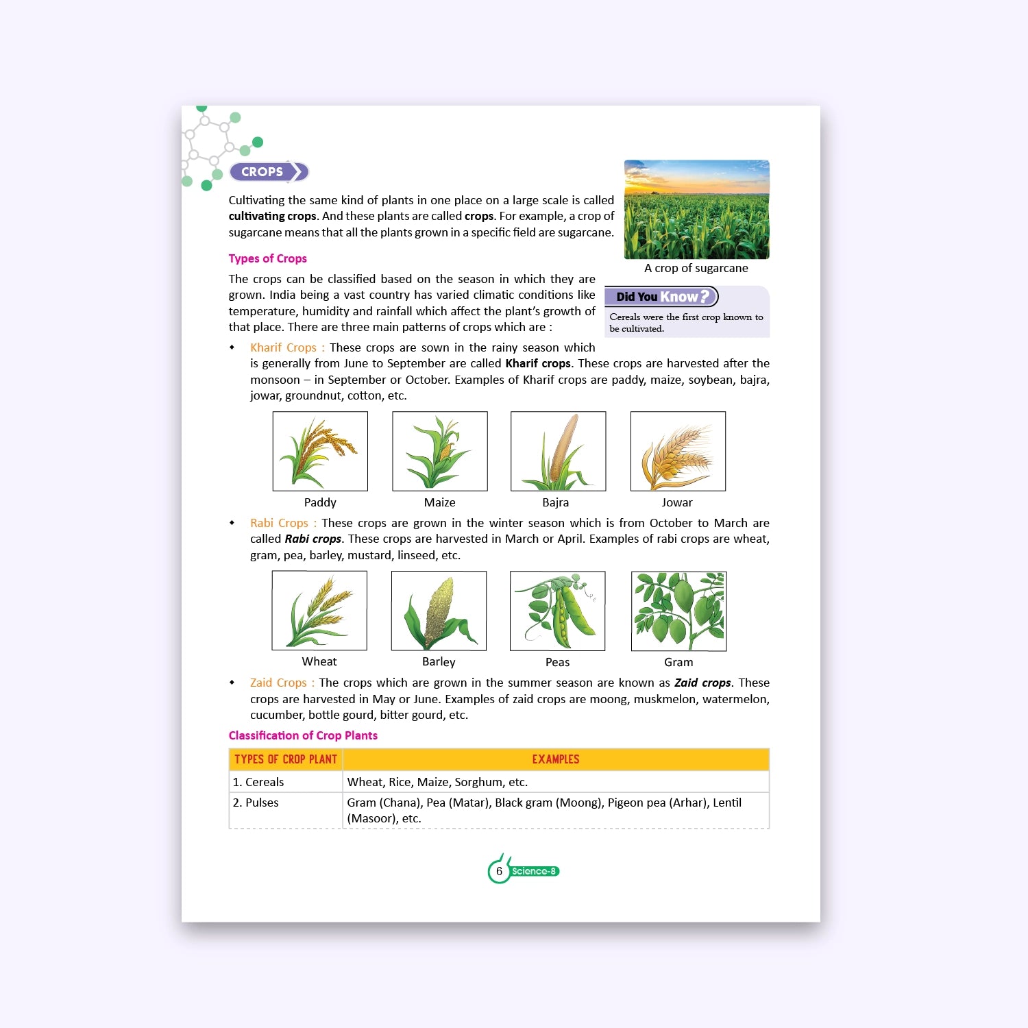 CBSE/ICSE Board Journey of Science Class 8 Textbook – Priyanka Jain | Academic Year: 2026-27 | Nageen Prakashan